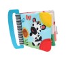 Basic Teether Book