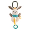 Baby Nova Rattle Toy, attachable, soft and cuddly 6+ months (Made in Germany)